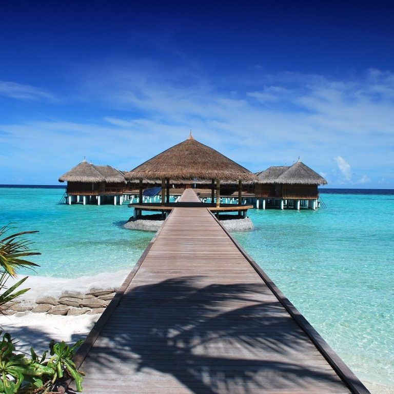 Luxury Getaway with a Travel Agency Tropical beach with thatched-roof huts. Journey and Explore the world your way.