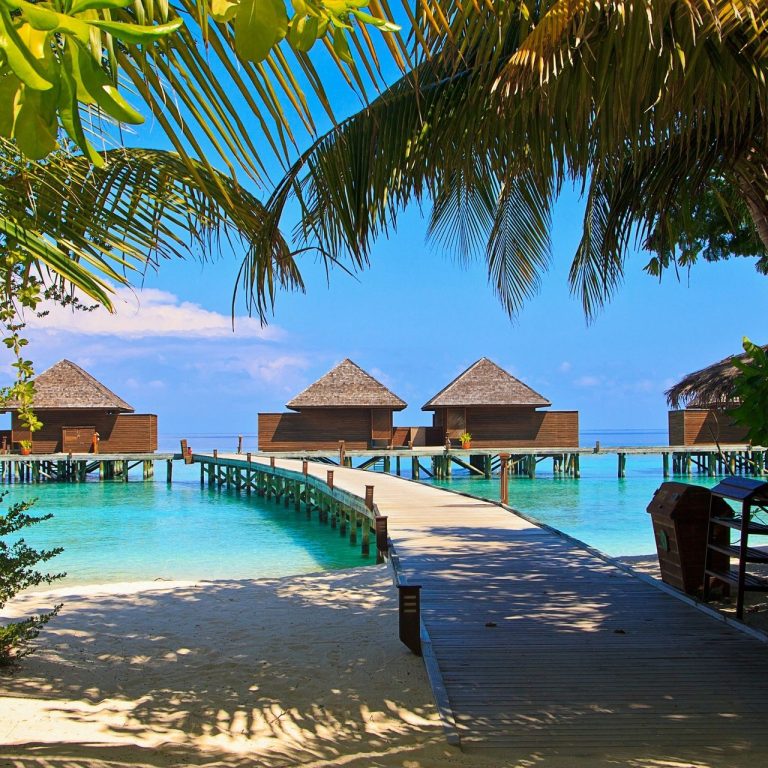 Plan your next trip with our expert travel consultants Tropical resort with bungalows. Custom Vacation Packages & Guided Tours