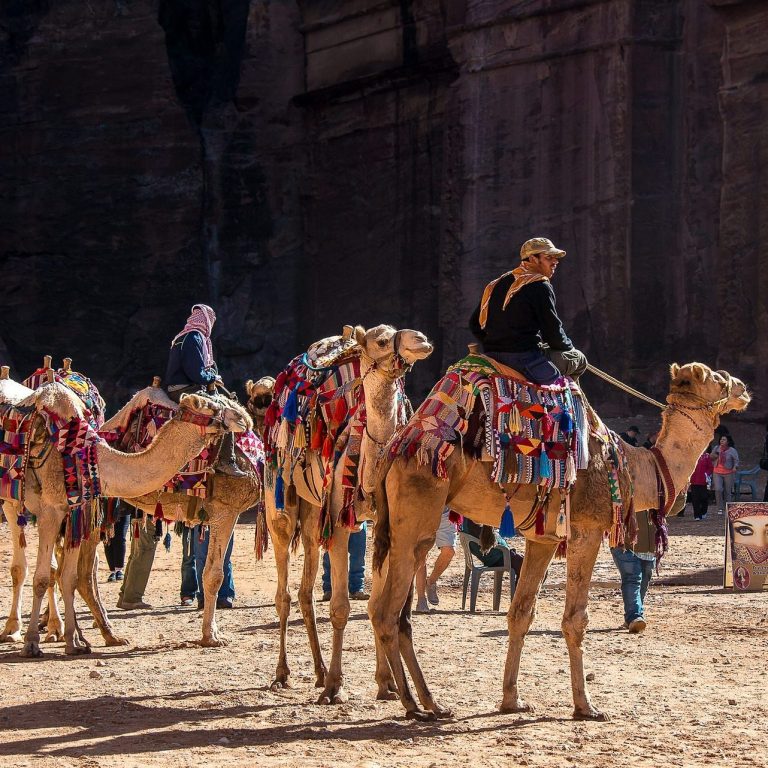 Traveler on a Adventure Expedition on a Vacation Trek Travelers on camels in a desert landscape on a Adventure Expedition